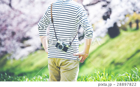 春イメージ 28897822