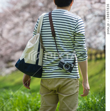 春イメージ 28897836