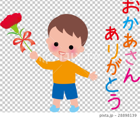 母親節康乃馨花束男孩微笑 28898139