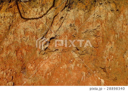 Orange Brown Soil Texture Background 28898340