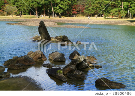 毛越寺の池中立石 毛越寺の池中立石 28900486