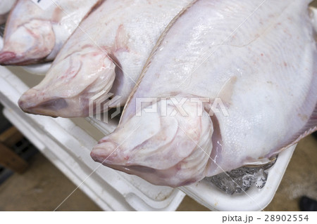 宮城県女川産マガレイ食材王国宮城fresh 28902554