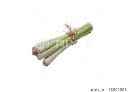 bundle of lemon grass isolated on white bundle of lemon grass isolated on white 28903008