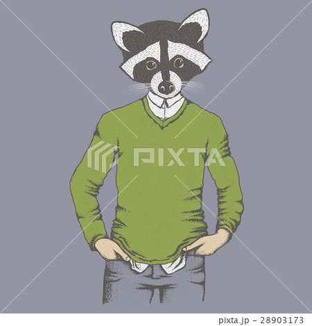 Raccoon vector illustration 28903173