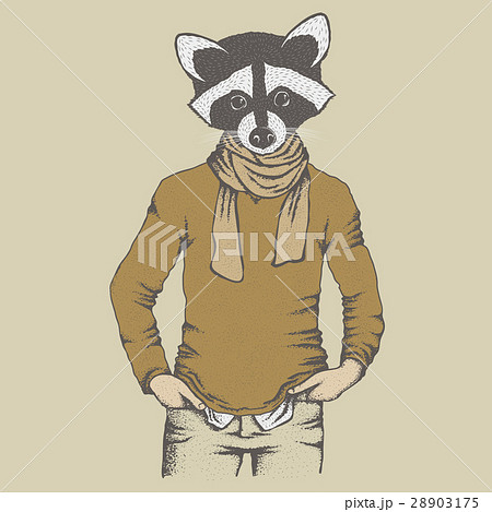 Raccoon vector illustration 28903175