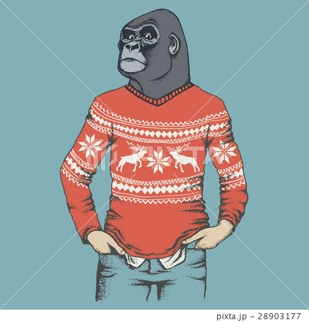Monkey gorilla vector illustration 28903177