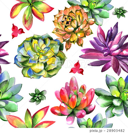 Wildflower succulentus flower pattern in a 28903482
