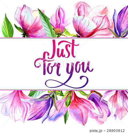 Wildflower magnolia flower frame in a watercolor Wildflower magnolia flower frame in a watercolor 28903612