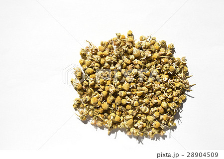 カモミール 28904509