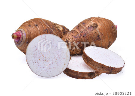 fresh taro isolated on white background fresh taro isolated on white background 28905221