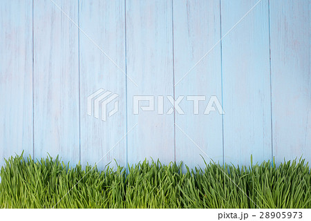 Green grass over wood background. Green grass over wood background. 28905973