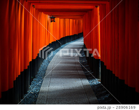 伏見稲荷大社 伏見稲荷神社 日本 28906169