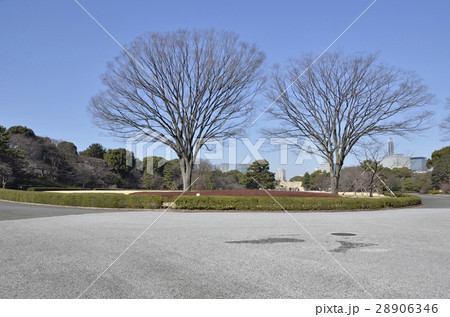 皇居東御苑の本丸大芝生 28906346