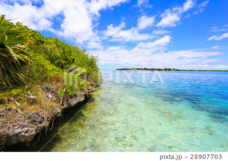 coral island coral island 28907703