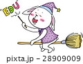 可愛い動物　仲間 28909009