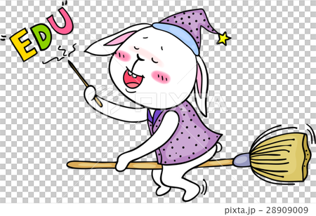 可愛的動物伴侶 28909009