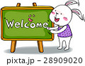 可愛い動物　仲間 28909020