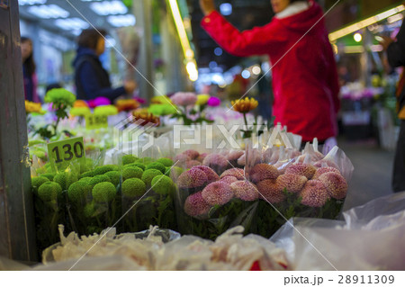 花 フラワー お花 28911309