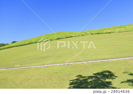 奈良県・若草山 奈良県・若草山 28914636
