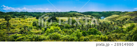 Fresh Yellow coloured Hills with some Jungle Fresh Yellow coloured Hills with some Jungle 28914980