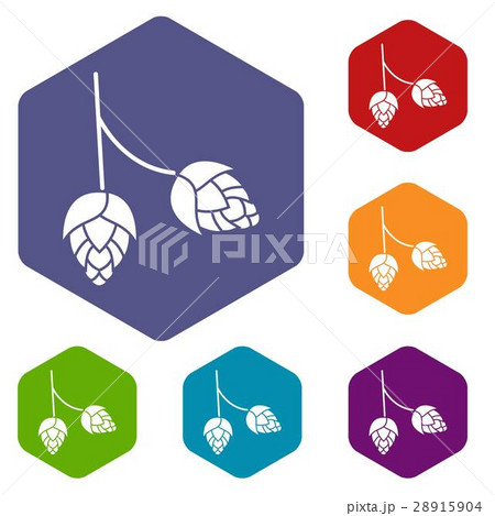 Branch of hops icons set Branch of hops icons set 28915904