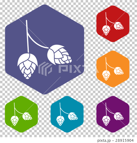 Branch of hops icons set Branch of hops icons set 28915904