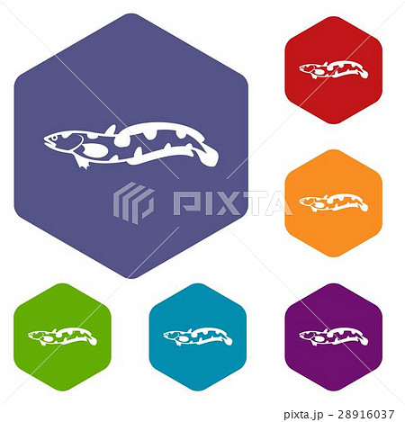 Anarhichas fish icons set 28916037