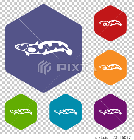 Anarhichas fish icons set 28916037
