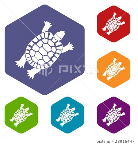 Turtle icons set Turtle icons set 28916447