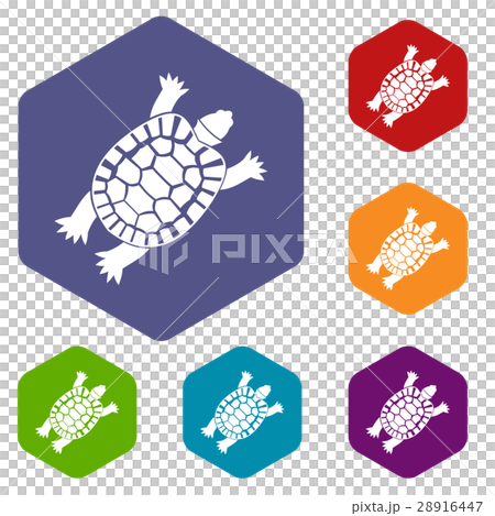 Turtle icons set Turtle icons set 28916447