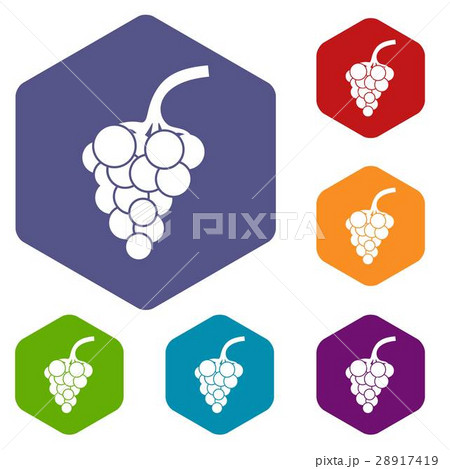 Grape branch icons set 28917419