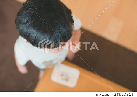 3 years old 3 years old 28923813