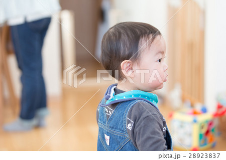 1 year old 1 year old 28923837