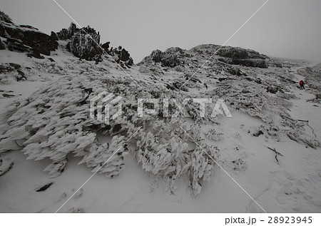 岩 石 ロック 28923945