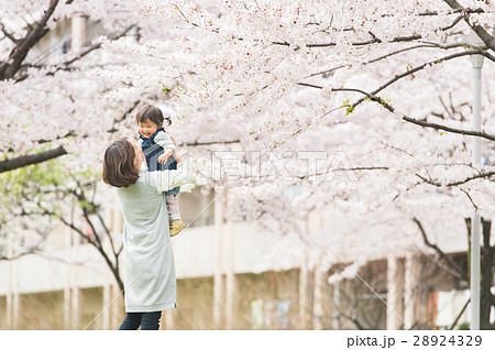 桜の下で遊ぶ親子 28924329