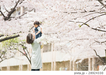 桜の下で遊ぶ親子 28924330