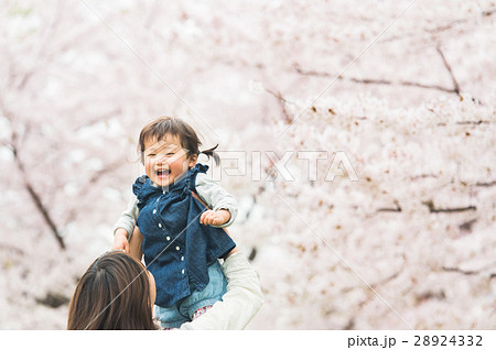 幸せな親子　桜　 28924332
