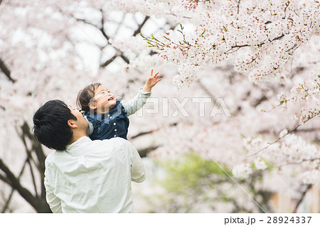 桜の下で遊ぶ親子 桜の下で遊ぶ親子 28924337