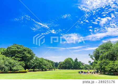 新緑が眩しい休日の公園 新緑が眩しい休日の公園 28925176
