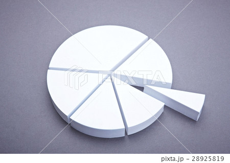 金融経済　円グラフ 28925819