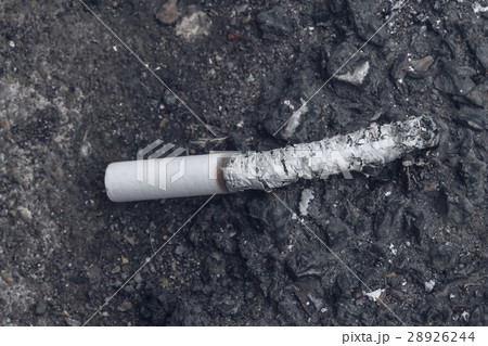 smoked cigarette drop on the ground smoked cigarette drop on the ground 28926244