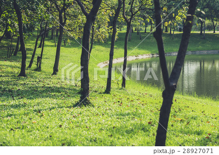 green park, fresh ozone nature space. 28927071