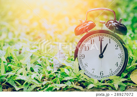 1 o'clock retro clock in the garden grass field. 28927072