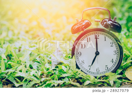 7 o'clock retro clock in the garden grass field. 28927079