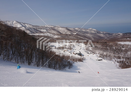 札幌手稲スキー場ハイランド 札幌手稲スキー場ハイランド 28929014
