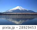 逆さ富士 28929453