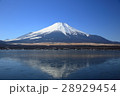 逆さ富士 28929454