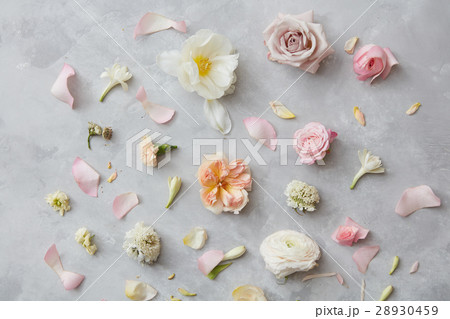 Composition of flowers on grey background Composition of flowers on grey background 28930459