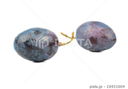 Berries blue grapes 28931004