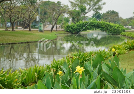 タイ王国にある公園(Beautiful Park in Thailand) タイ王国にある公園(Beautiful Park in Thailand) 28931108